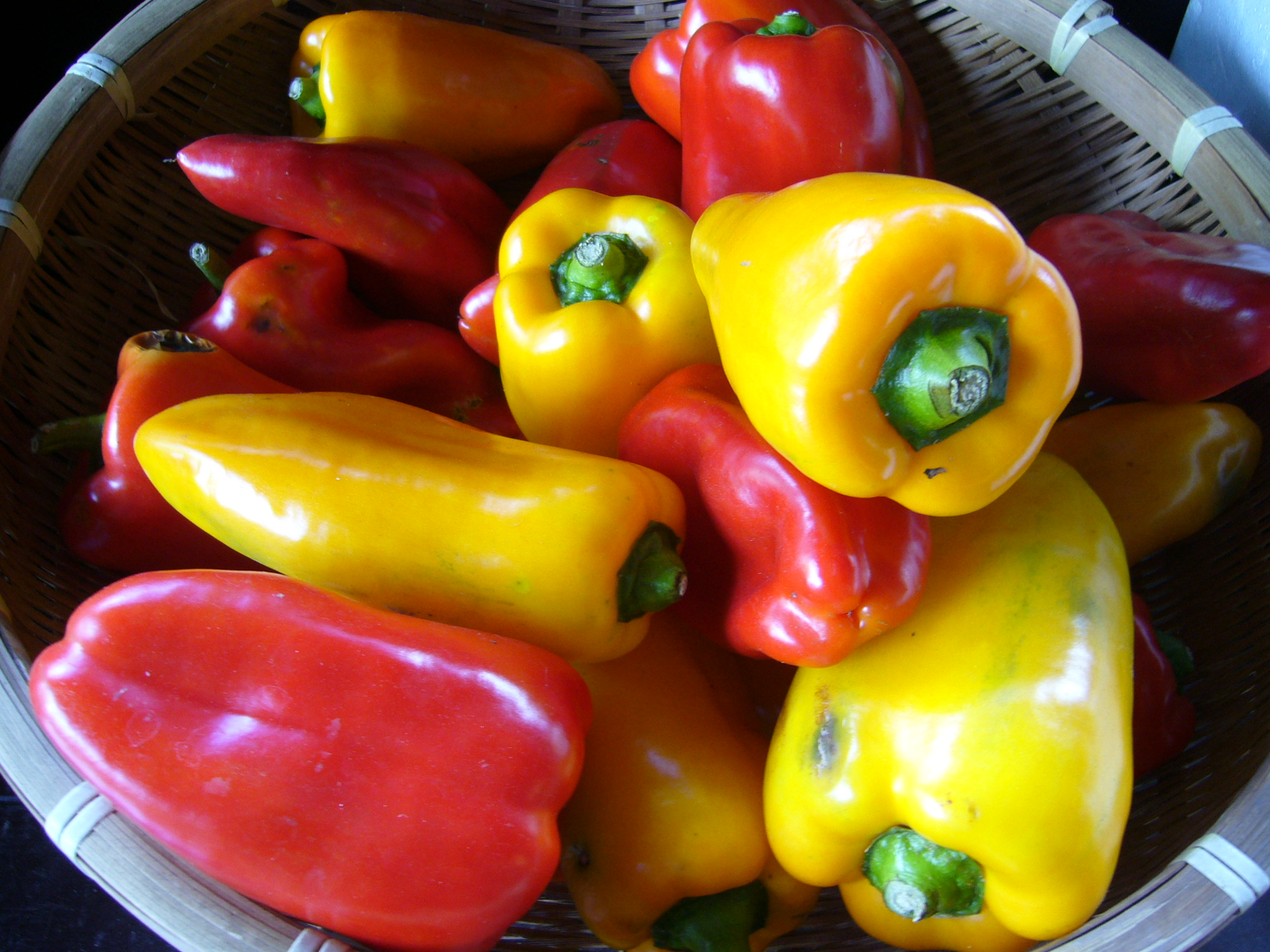 ２００８，８家族旅行１ (2).jpg