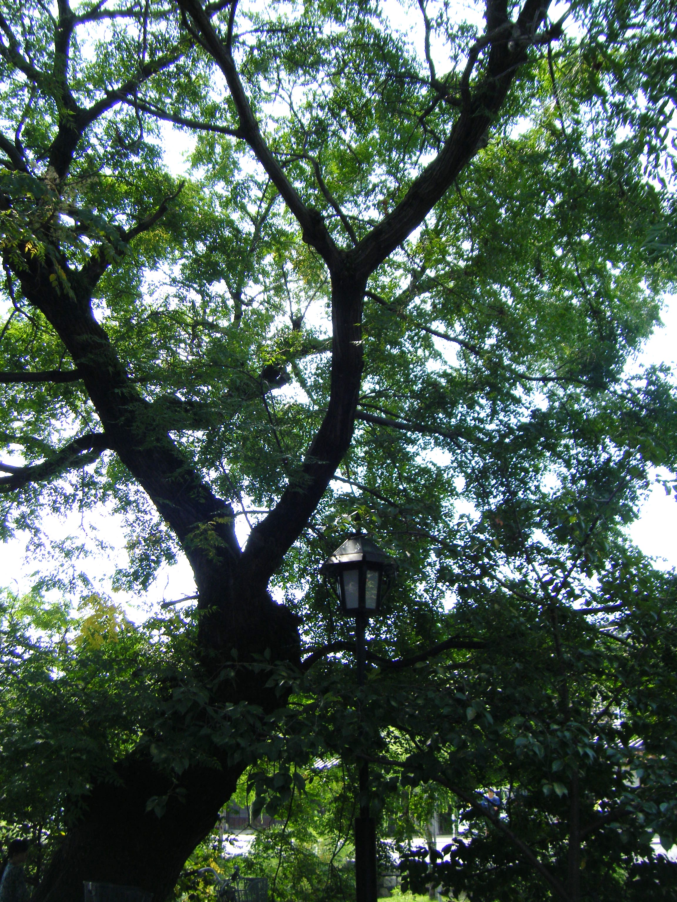 DSCF0633.jpg