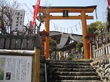 IMG_1300.JPG