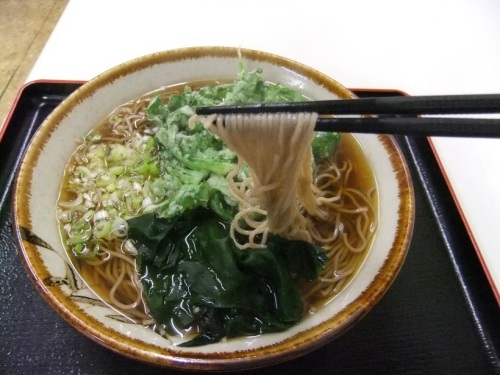 西新井１丁目・たからんちょの春菊天そば・大盛り２