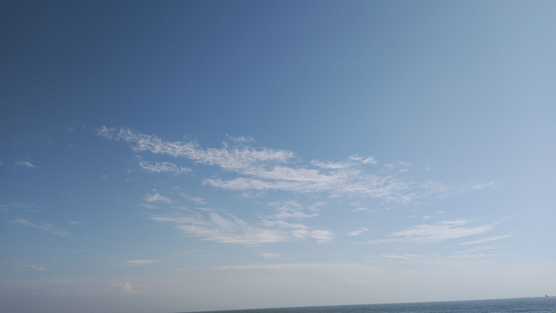 20220717  DSC_0006.jpg