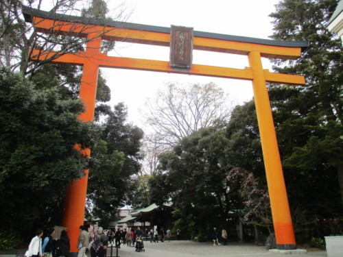 氷川神社の鳥居