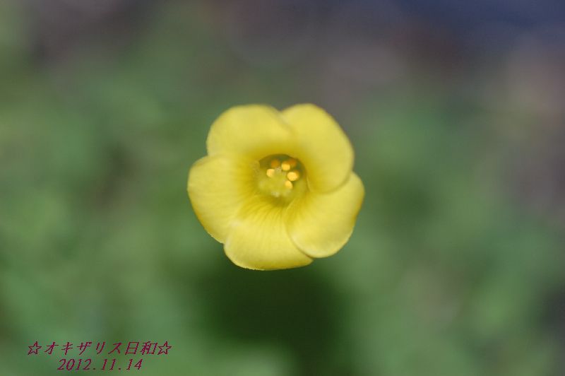 DSC_4920.JPG
