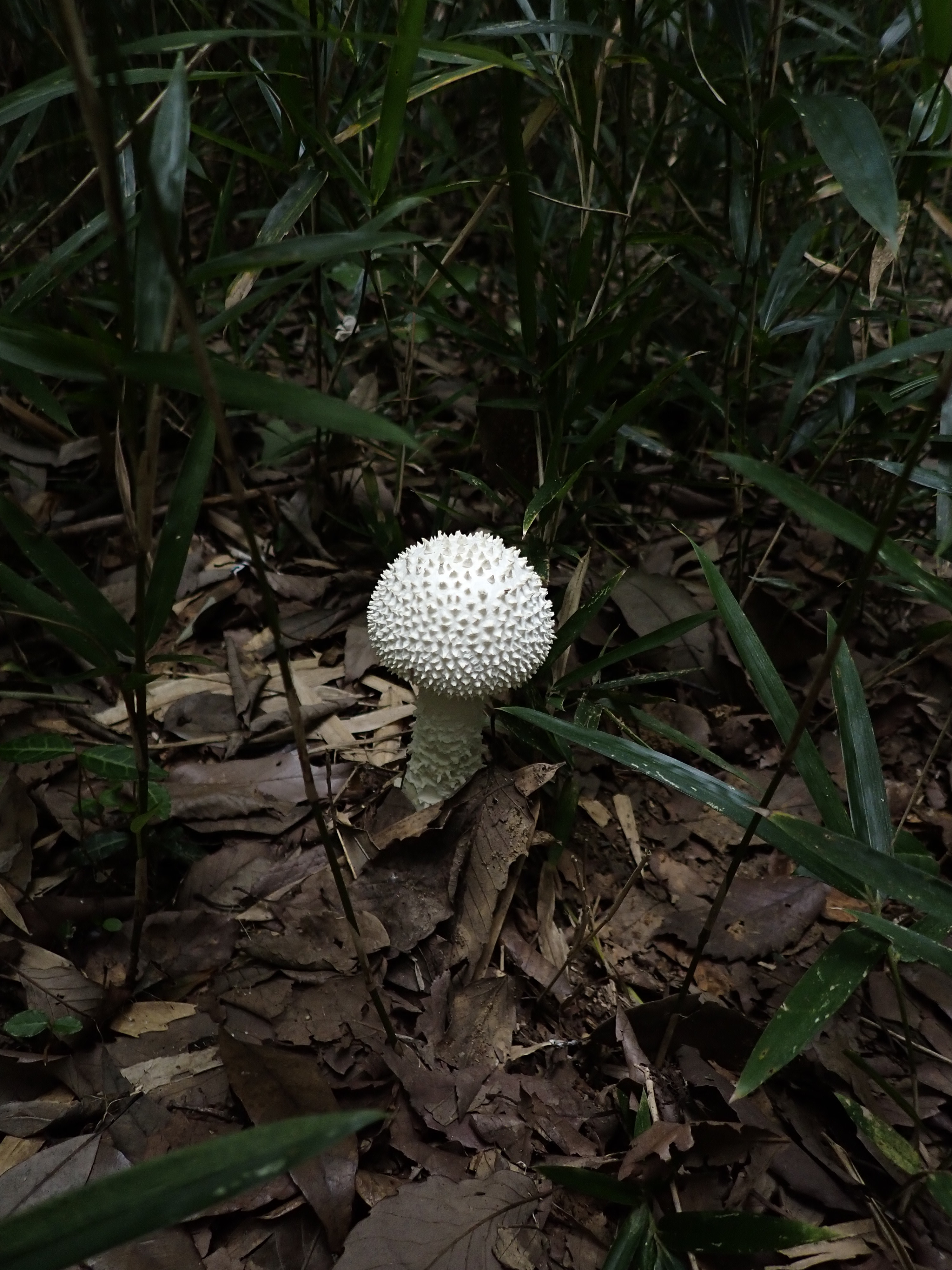 _A090062.JPG