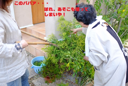 DSCF0687.JPG