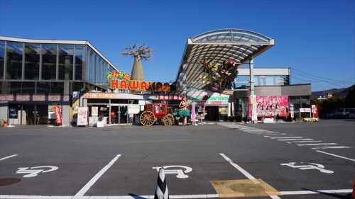 20160127 10582301.JPG