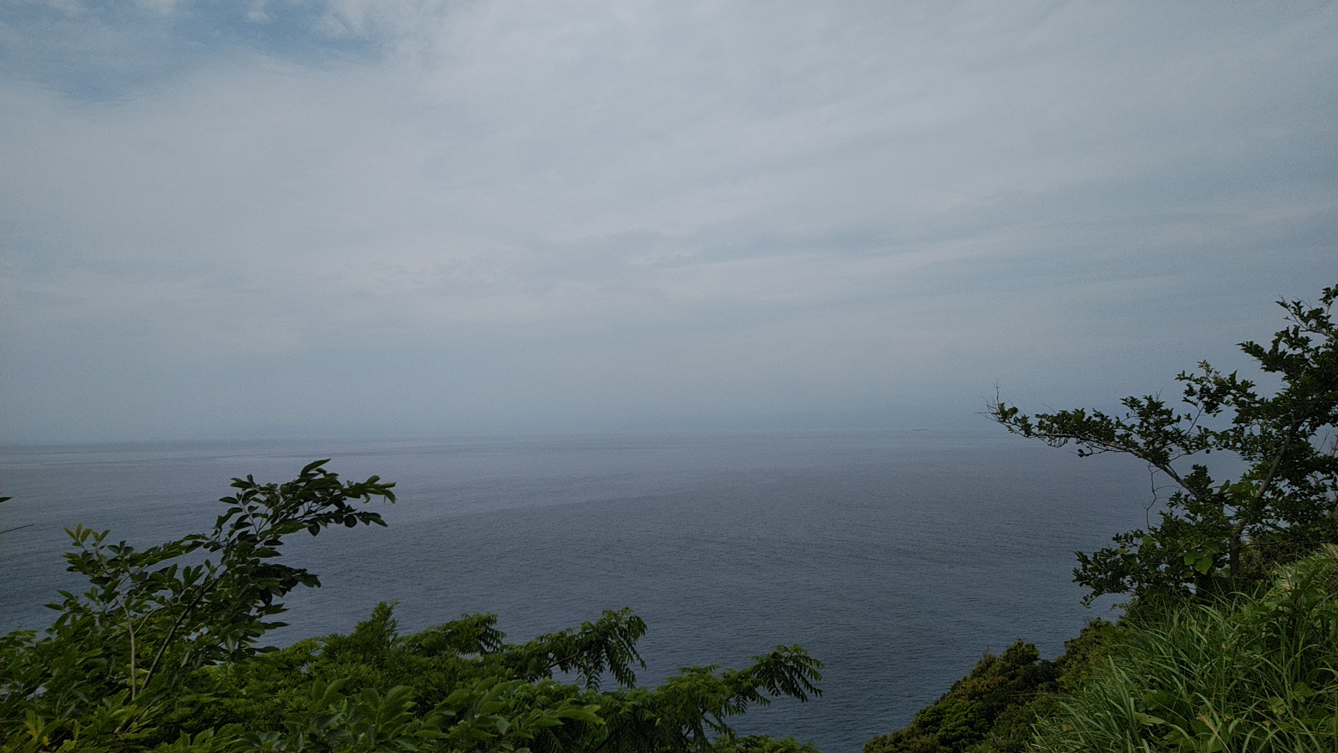 20200526  DSC_0002.jpg.jpg