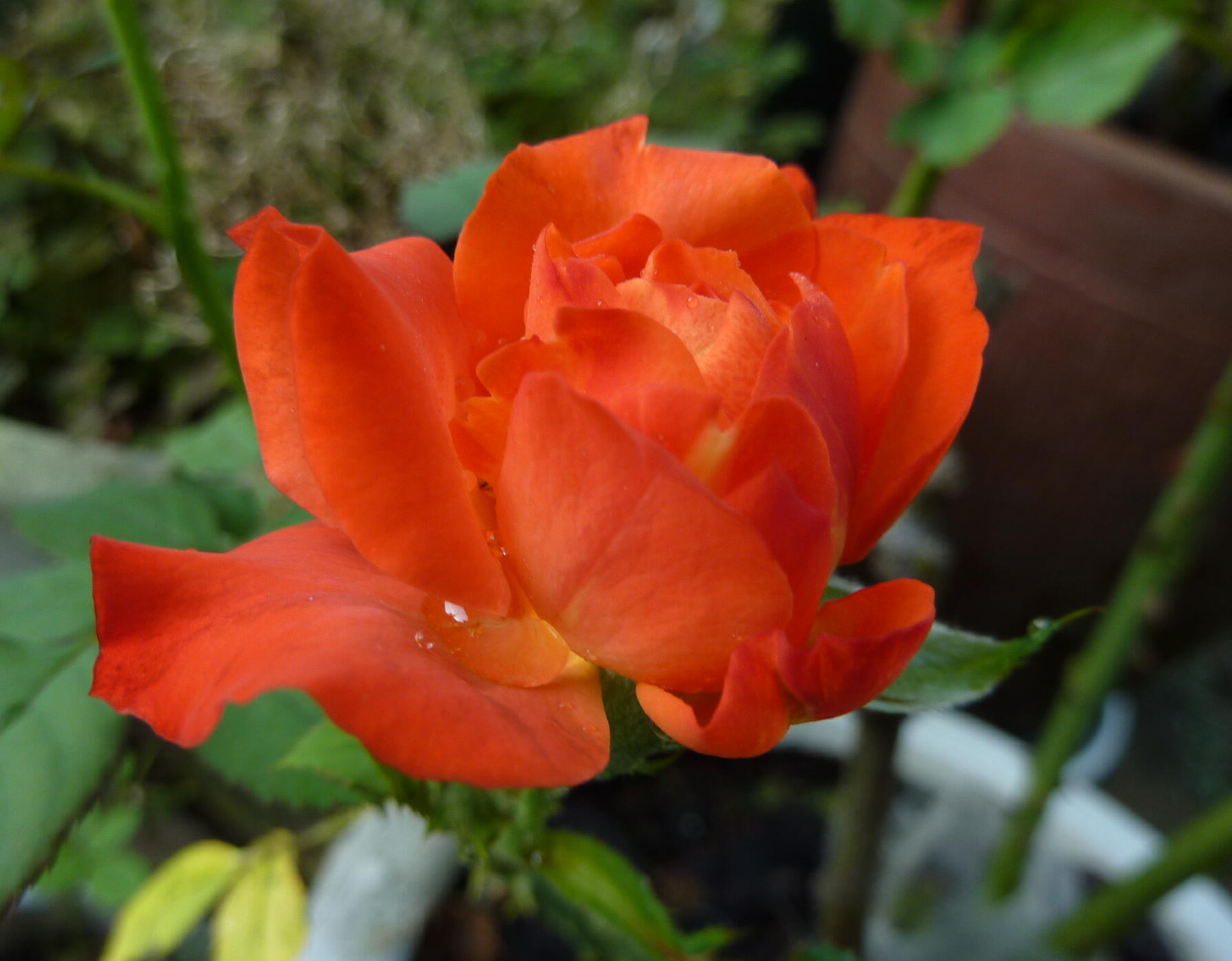 130922-6-6.jpg