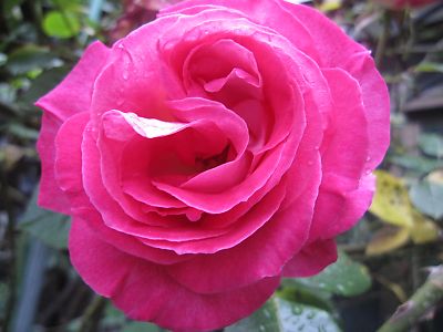 IMG_ed23.JPG