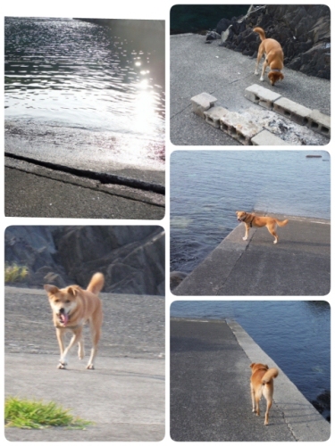 2014-08-28-22-23-51_deco (480x640).jpg