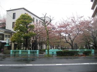 浅草卯月 040.JPG