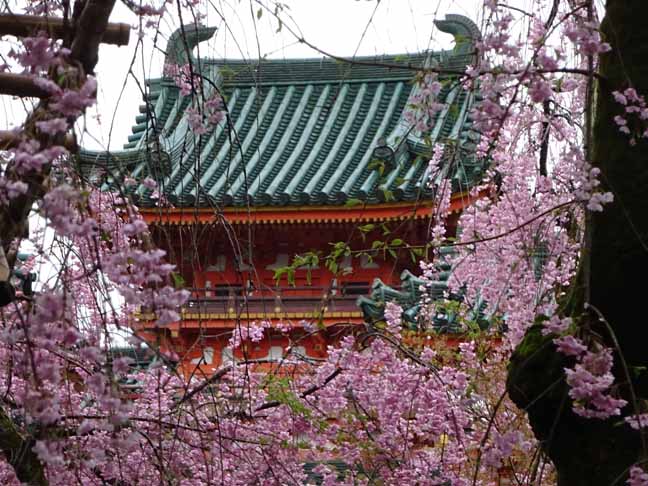 平安神宮 (60).JPG