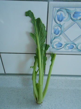 DSCN0773.JPG