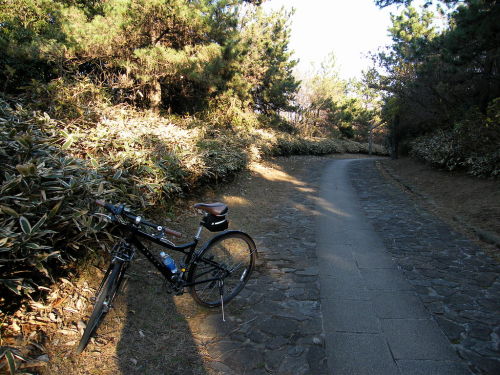 ポタリング 08 12 28 荒川サイクリングロード 北千住 河口 葛西臨海公園 水道橋 Swang Blog 楽天ブログ