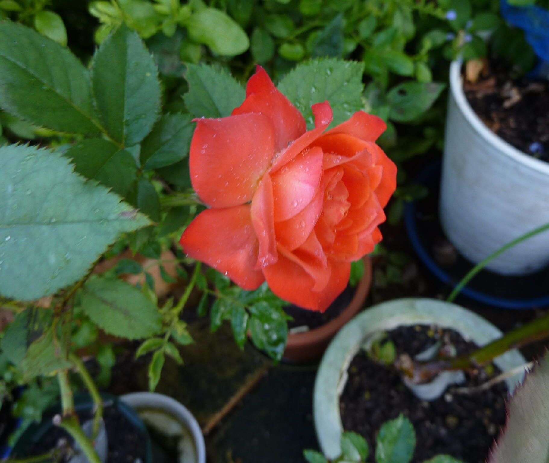 130922-6-5.jpg