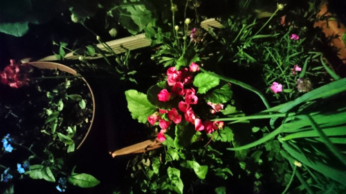 04_0237  800x450.JPG