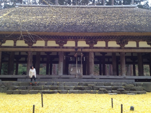 nagatoko.jpg