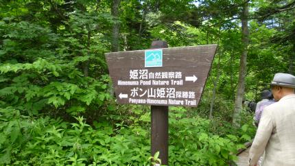 rishiri2012.7.15-himenuma-d.jpg