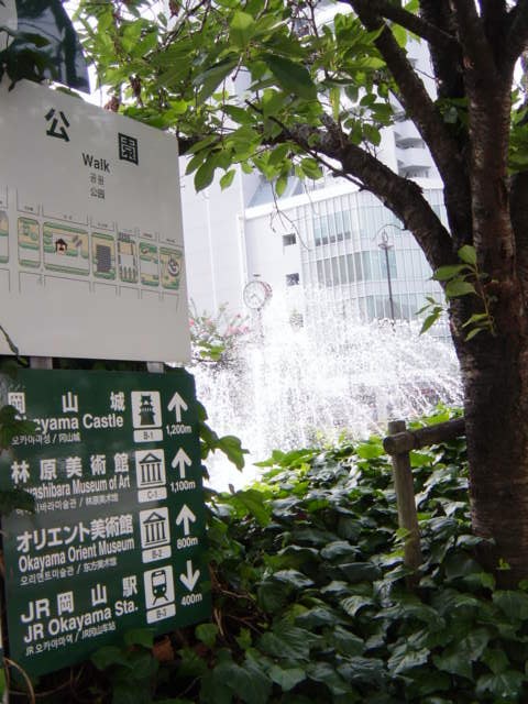 DSC09201.JPG