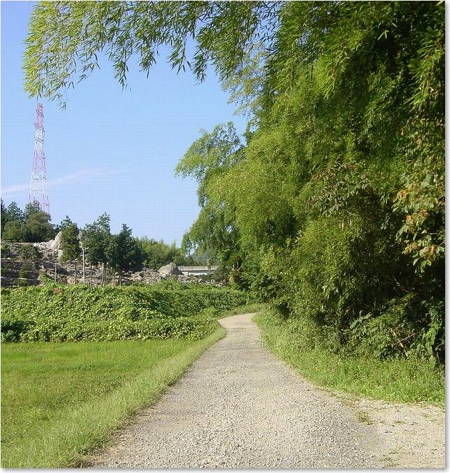 13こんな道です