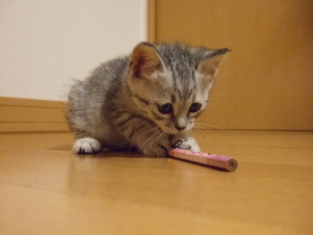DSCF1096.JPG