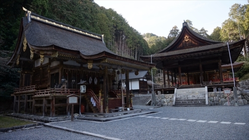 20160322 16081701.JPG