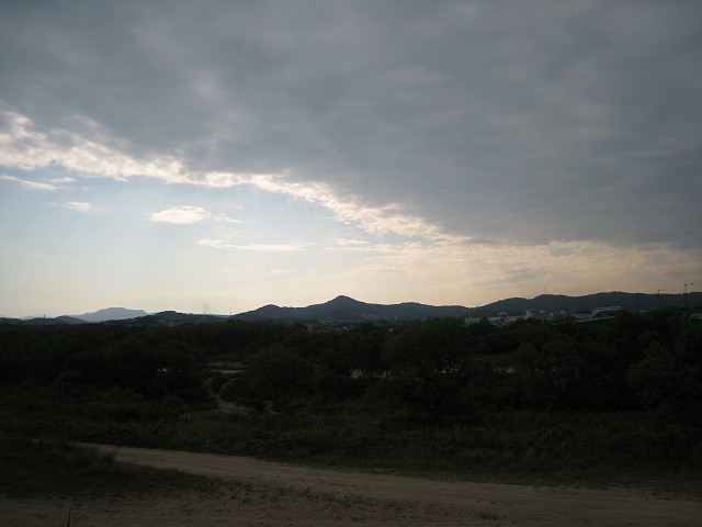 IMG_4006.jpg