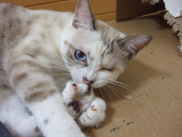 DSCF1808.JPG