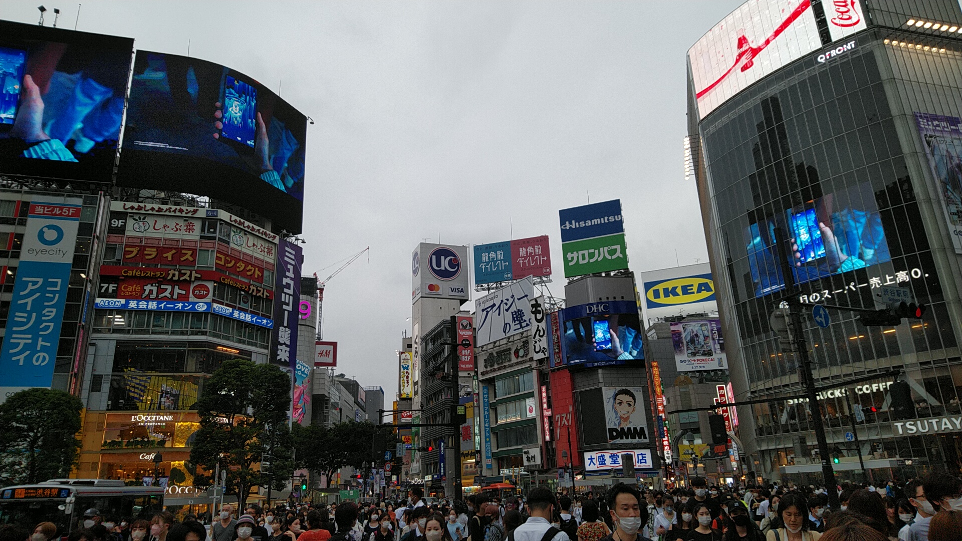 20220622  DSC_0002.jpg