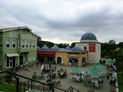 トルコ　正面が大学　左は住宅.JPG