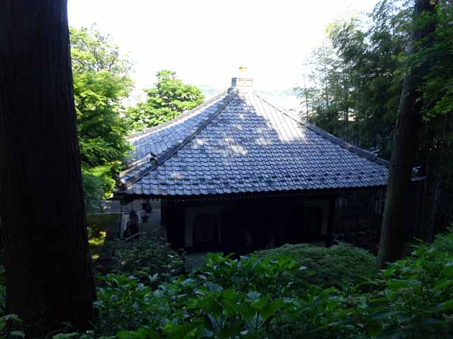 長谷寺 (9).JPG
