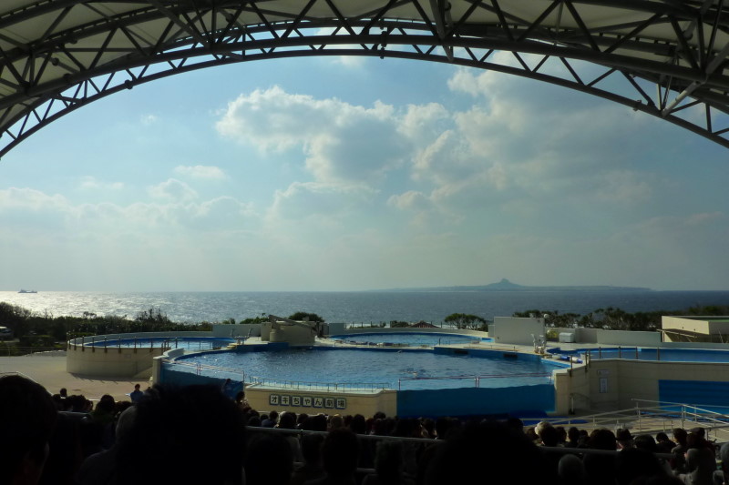P13607870001.JPG