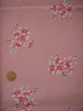 DSC00337 - コピー.JPG