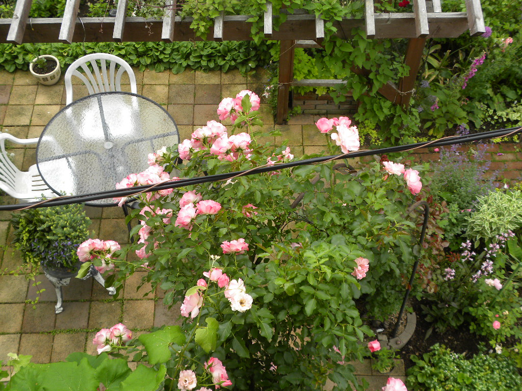 DSCN6847.JPG