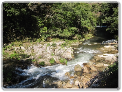 0272R314沿線風景（都志見川）_0272.jpg