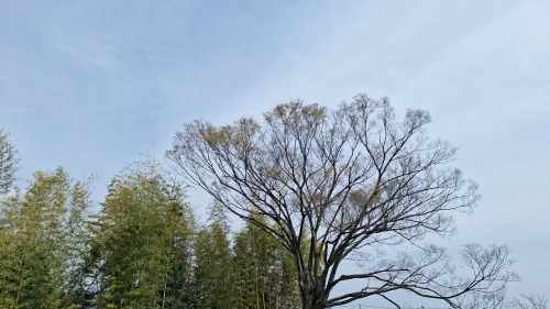 IMG_20240407_125510.jpg