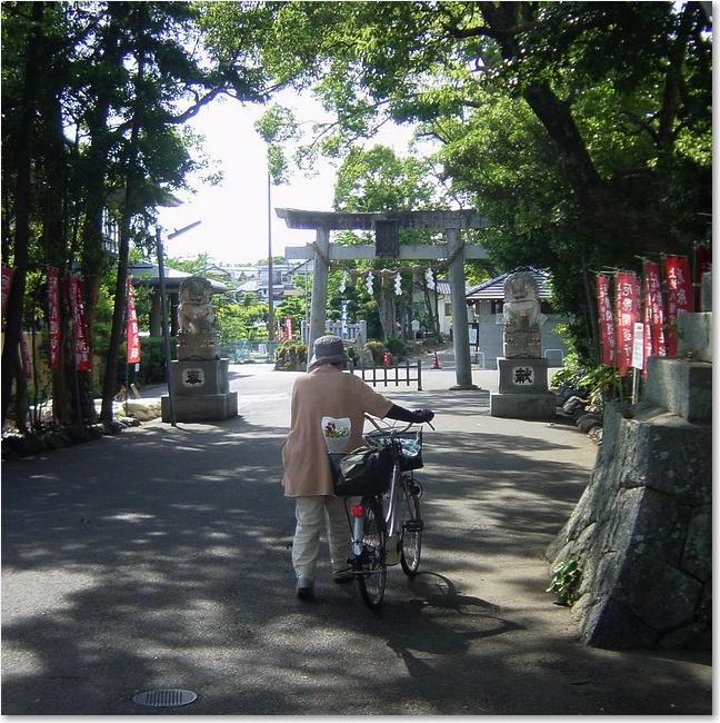 60おばちゃんも行きます