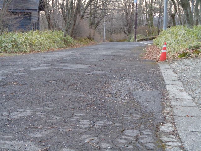231208road.jpg