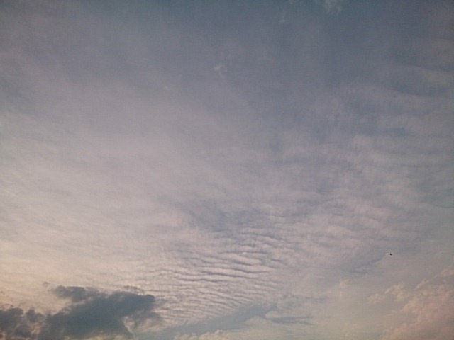 20170610  DSC_0001.jpg