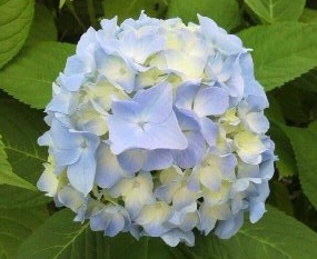 あ