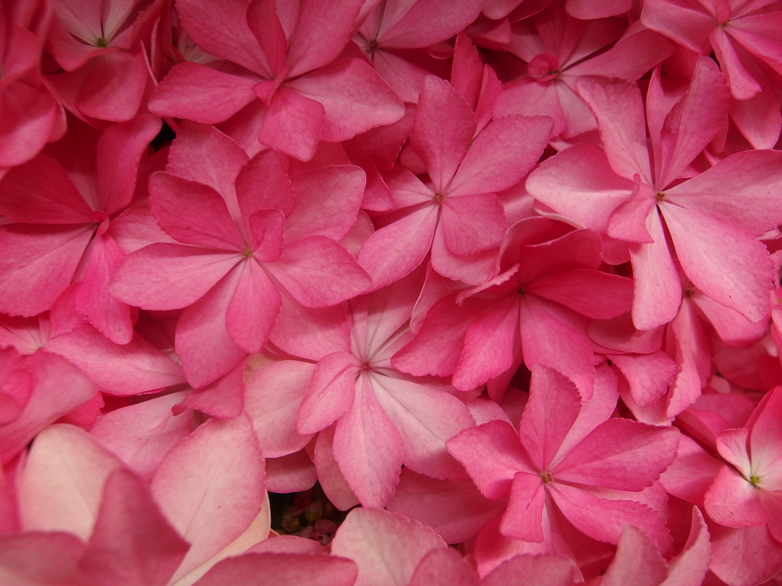 2015-06-07 15.57.31.jpg