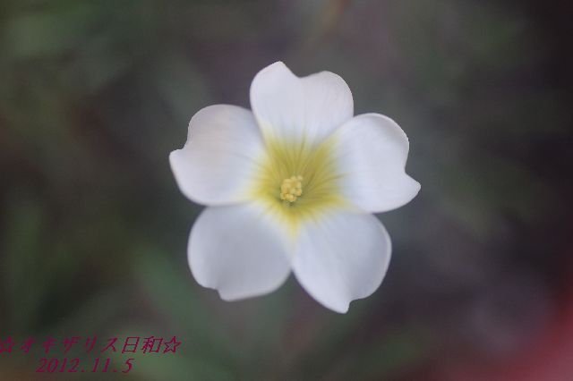 DSC_4578.JPG