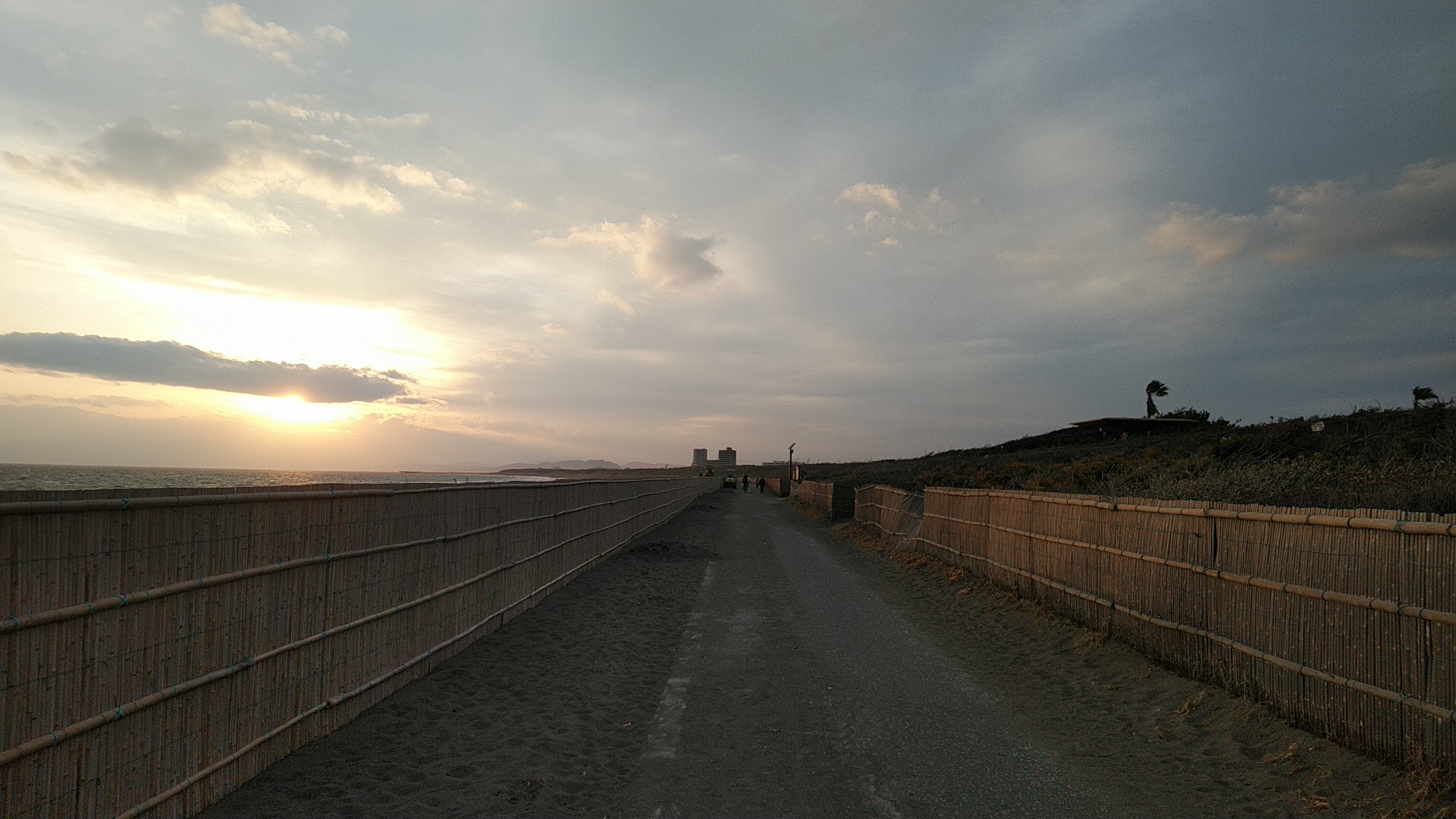 20190224  DSC_0005.jpg.jpg