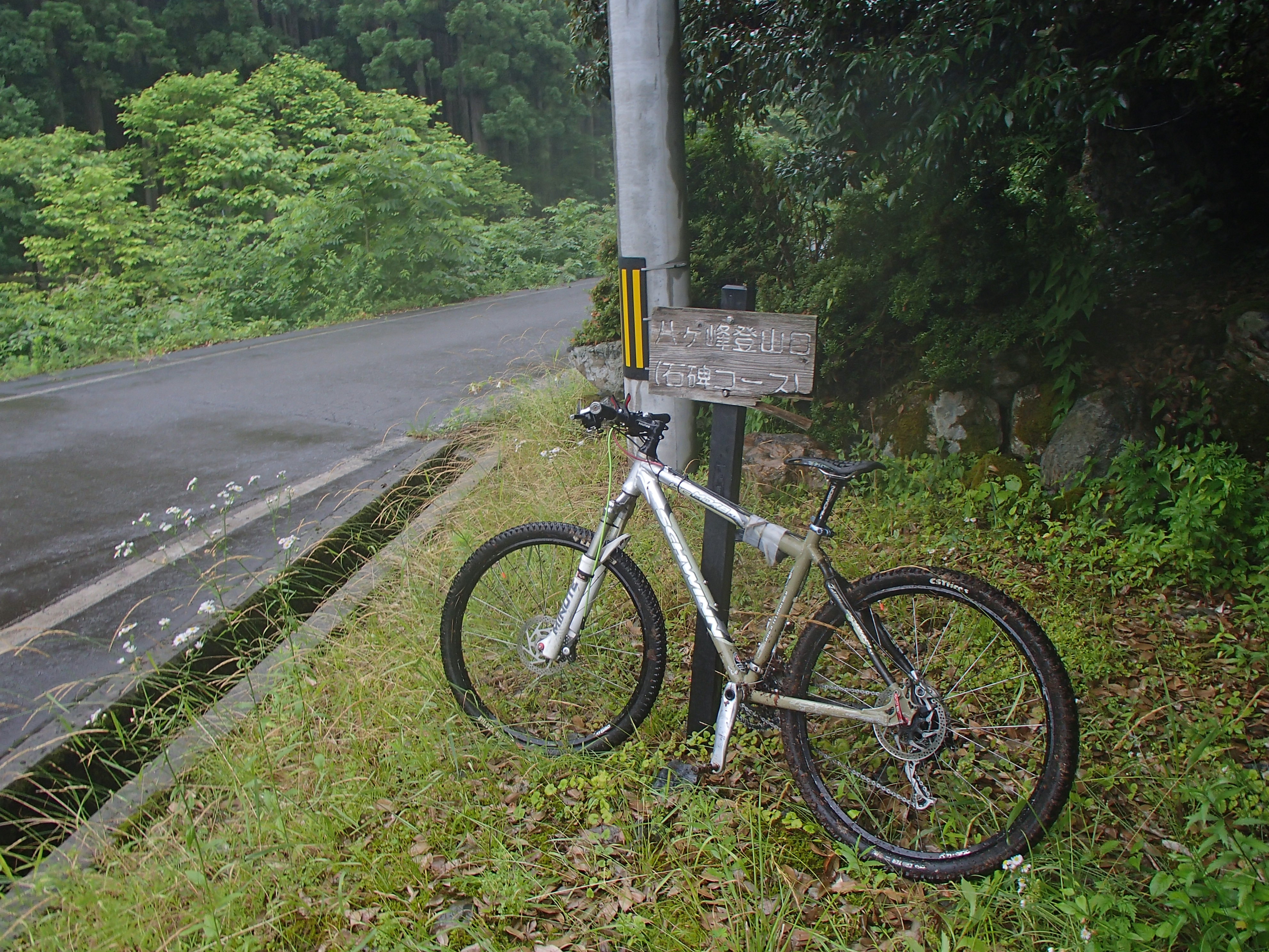 P6290143.JPG