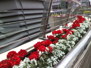 20120518 street2 10.JPG