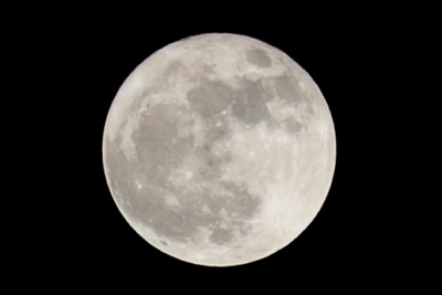 C_3334.jpg