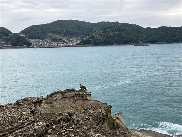 IMG_1285_R.JPG