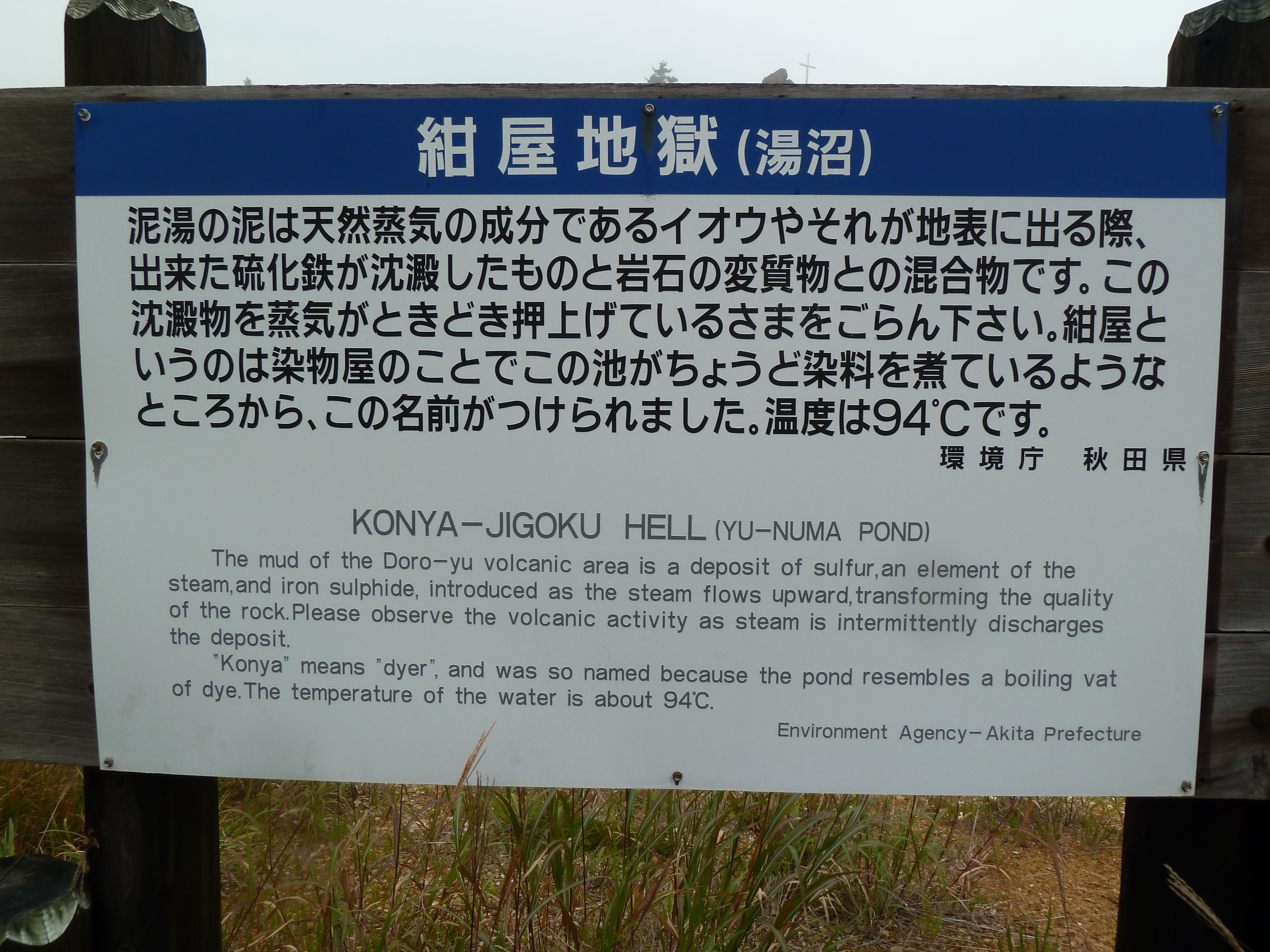P1010381.JPG