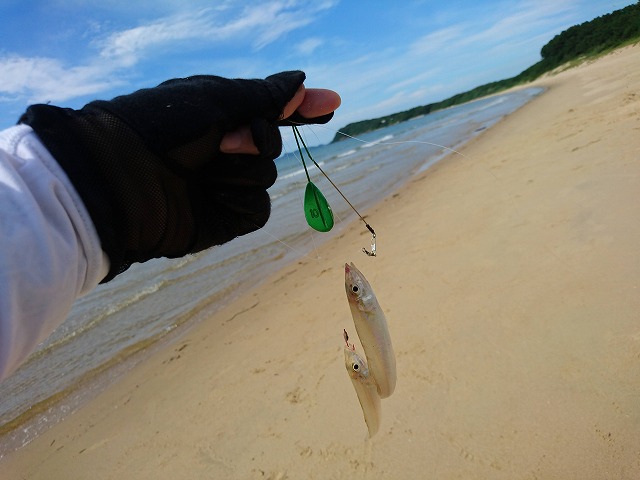 showPhoto (640×480)