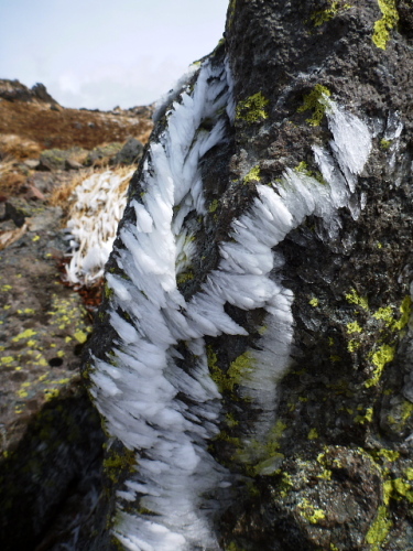 日光白根山霧氷4.jpg